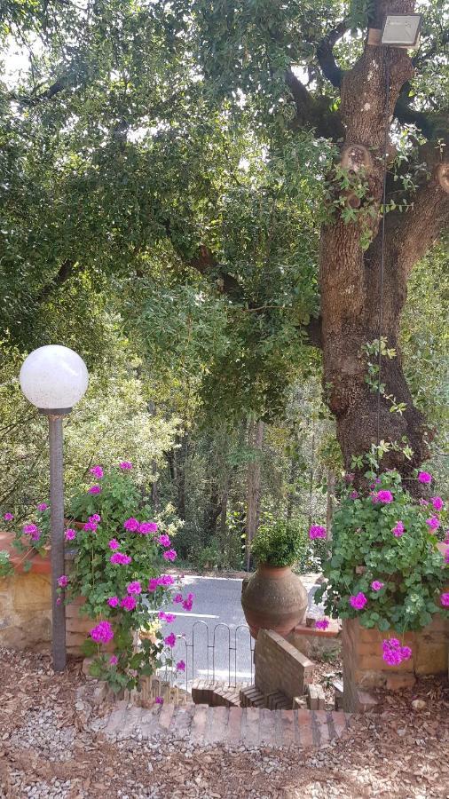 Casa Bruna - Cipresseta Del Chianti Кастелліна-ін-К'янті Екстер'єр фото
